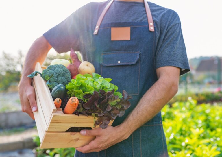 Read more about the article מזון בר קיימא: יותר ירוק, יותר בריא, ועדיין טעים